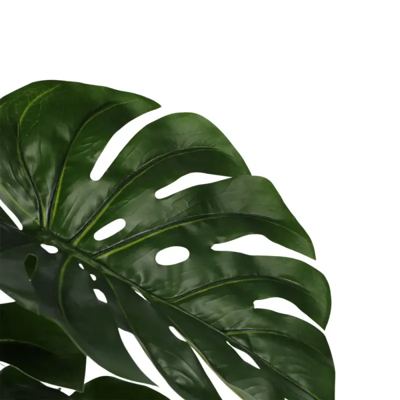 Monstera stor H 100