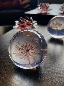 Hovedbilde Glasskule Astrantia