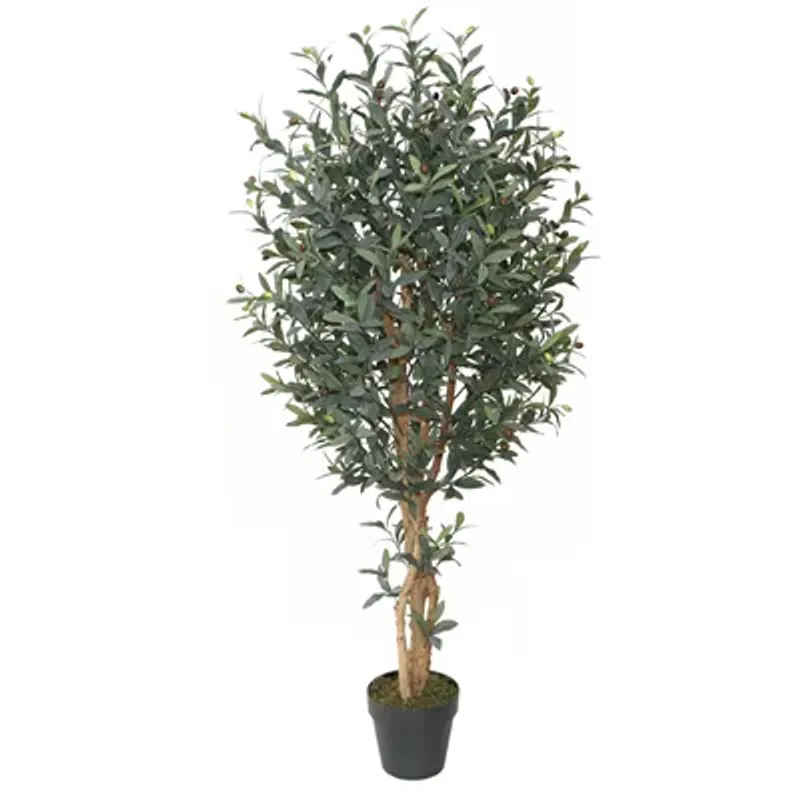 Oliven tre 150 cm